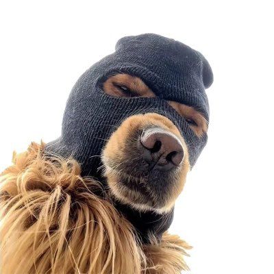 SKI MASK DOG (SKI) meme coin logo on Base