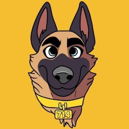 CZ'S DOG (Broccoli) meme coin logo on BNB Chain