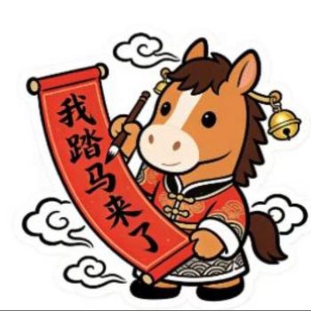 我踏马来了 (我踏马来了) meme coin logo on BNB Chain