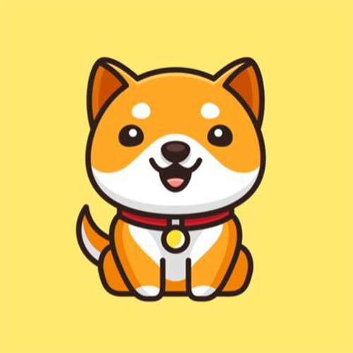 Baby Doge Coin (BabyDoge) meme coin logo on BNB Chain