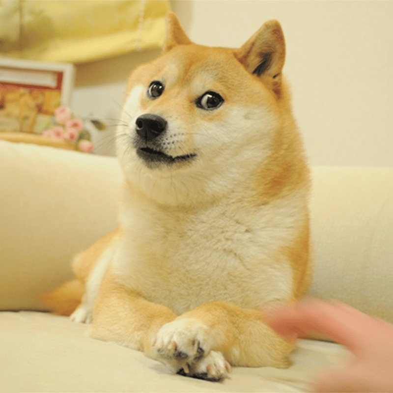 The Doge NFT (DOG) meme coin logo on Ethereum