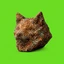 Copper Inu (COPPERINU) meme coin logo on Robinhood Chain