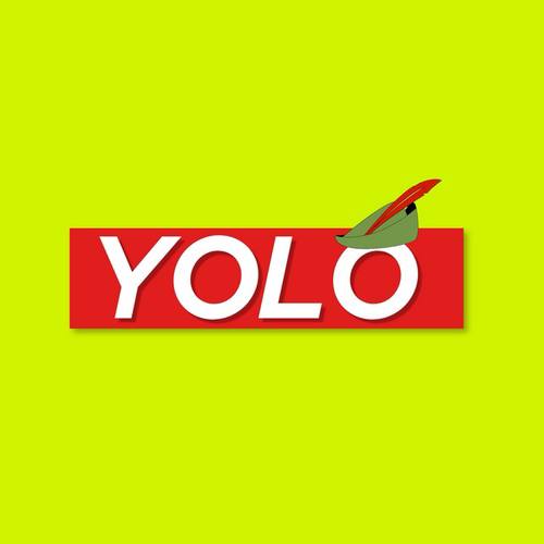YOLO (YOLO) meme coin logo on Robinhood Chain