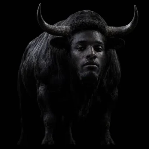 The Black Bull (ANSEM) meme coin logo on Solana