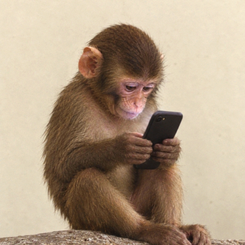 apeonfone (fone) meme coin logo on Solana